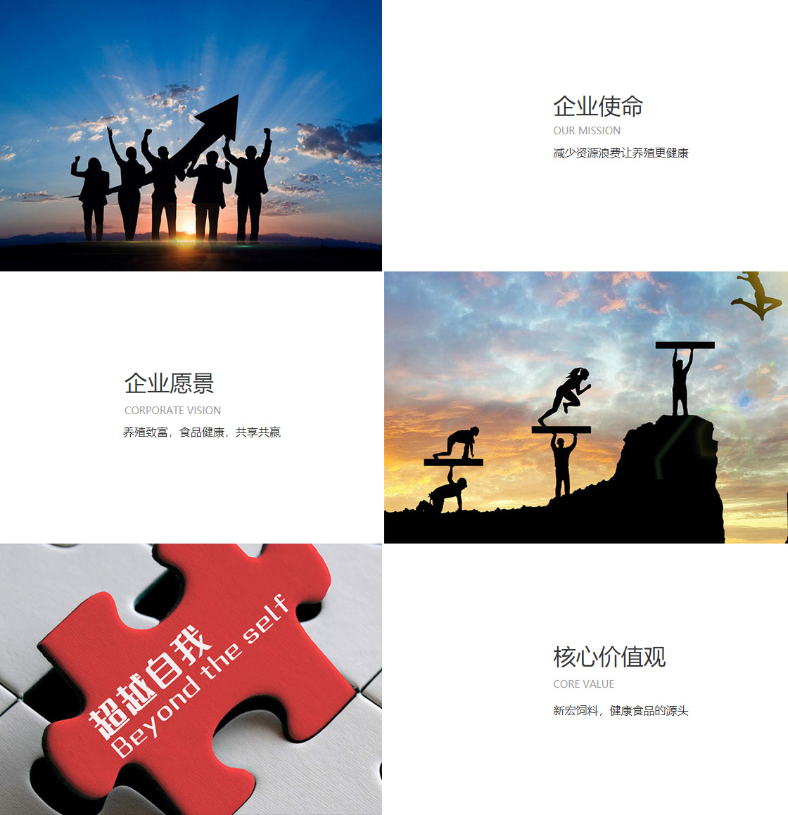 凯发旗舰厅网站下载网址(图1)